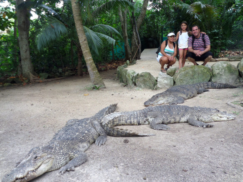 where to see crocodiles in cancun